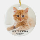Search for kittens christmas tree decorations Cats