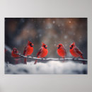 Search for cardinal posters Wall