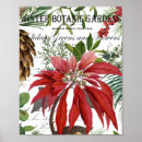 Search for poinsettias posters Floral