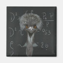 Search for education learning magnets Cute