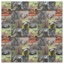 Search for photo quilts Collage