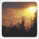 Search for smoky mountain stickers Nature