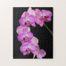 Search for savannah georgia puzzles Ornamental