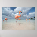 Search for aruba posters Ocean