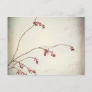 Search for spring bud postcards Tree