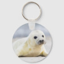 Search for getty key rings Nature