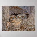 Search for owl nursery decor Great horned owl