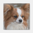 Search for breeder magnets Cute
