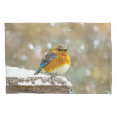 Search for photograph pillowcases Blue