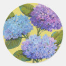 Search for round hydrangea stickers Botanical