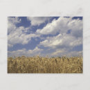 Search for adam postcards Cloud