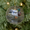 Search for ducks christmas tree decorations Wildlife