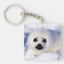 Search for pups key rings Wildlife