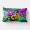 Search for purple butterfly cushions Monarch