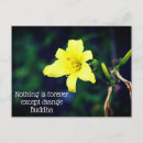 Search for inspiring quote postcards For her