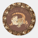 Search for lizard magnets Dragon