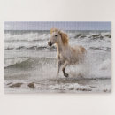 Search for running puzzles Shore