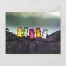 Search for diversity postcards Colourful