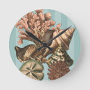 Search for sand dollar art Sea life