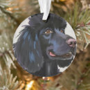 Search for poodle christmas tree decorations Watercolor