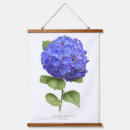 Search for blue hydrangea art Gardener