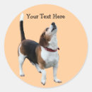 Search for cute beagle stickers Animal