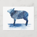 Search for animal postcards Sheep