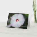 Search for hibiscus cards Tropical flower