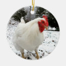 Search for boo christmas tree decorations Pet