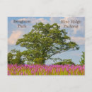 Search for blazing postcards Nature