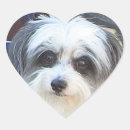 Search for love puppy stickers Dogs
