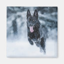 Search for wolf lovers magnets Animal
