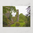 Search for infamous Cork