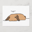 Search for lop postcards Bunny