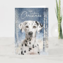 Search for dalmatian christmas cards Pets