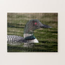 Search for loon puzzles Animal