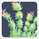 Search for christmas cactus stickers Watercolor