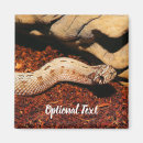 Search for snake magnets Animal