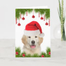 Search for yellow lab christmas cards Funny