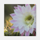 Search for white bloom magnets Flower