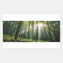 Search for bamboo forest stickers Nature