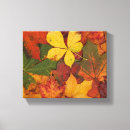 Search for foliage canvas prints Leaves