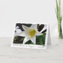Search for consider cards Consider the lilies