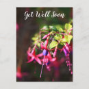 Search for get well soon postcards Elegant