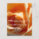 Search for flower petals postcards Yellow