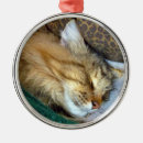 Search for long haired cat christmas tree decorations Tabby