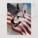 Search for vets postcards Flag
