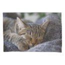 Search for baby animals pillowcases Cat