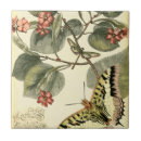Search for dragonfly tiles Botanical