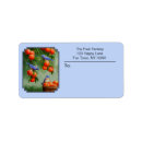 Search for songbird return address labels Wildlife